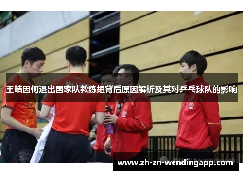 王皓因何退出国家队教练组背后原因解析及其对乒乓球队的影响