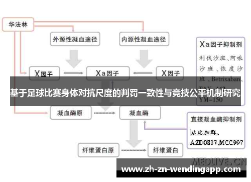 基于足球比赛身体对抗尺度的判罚一致性与竞技公平机制研究