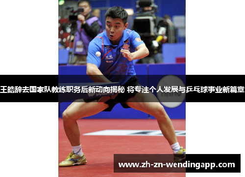 王皓辞去国家队教练职务后新动向揭秘 将专注个人发展与乒乓球事业新篇章 王皓辞去国家队教练职务后新动向揭秘 将专注个人发展与乒乓球事业新篇章