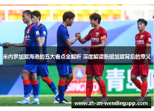 米内罗加盟海港的五大看点全解析 深度解读新援加盟背后的意义 米内罗加盟海港的五大看点全解析 深度解读新援加盟背后的意义