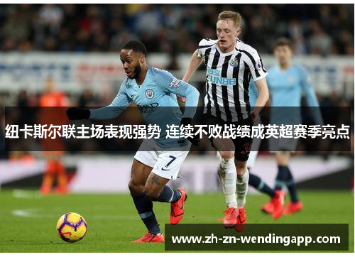 纽卡斯尔联主场表现强势 连续不败战绩成英超赛季亮点 纽卡斯尔联主场表现强势 连续不败战绩成英超赛季亮点