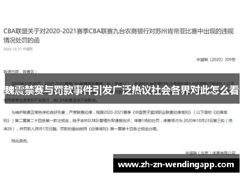 魏震禁赛与罚款事件引发广泛热议社会各界对此怎么看