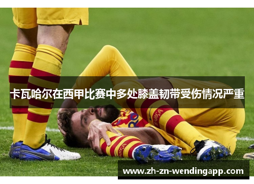 卡瓦哈尔在西甲比赛中多处膝盖韧带受伤情况严重 卡瓦哈尔在西甲比赛中多处膝盖韧带受伤情况严重
