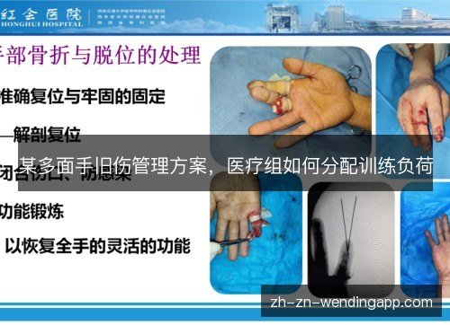 某多面手旧伤管理方案，医疗组如何分配训练负荷
